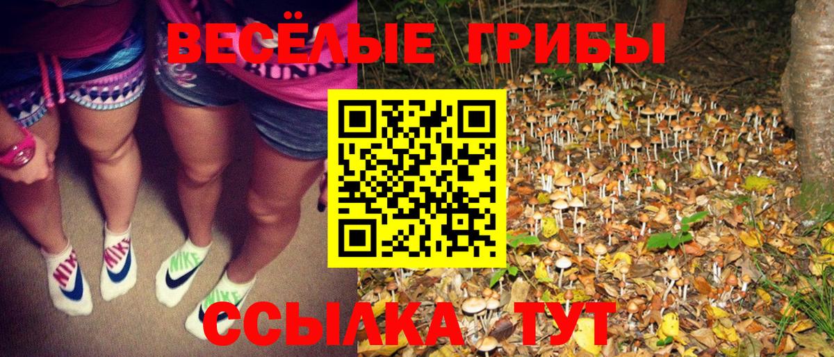 Ростов Великий  Псилоцибиновые грибы прущие грибы  Вход с VPN 
